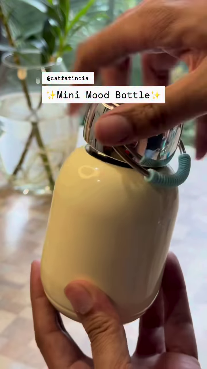 Insulated Mini "Mood" Bottle with Carrying Handle